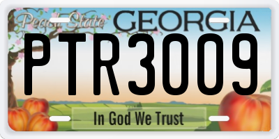 GA license plate PTR3009