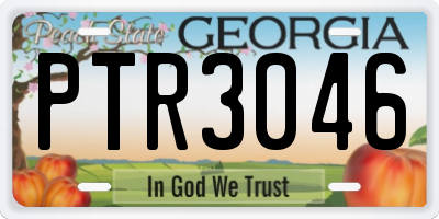GA license plate PTR3046