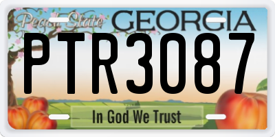 GA license plate PTR3087