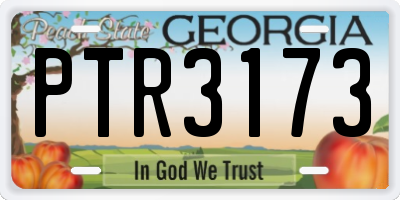 GA license plate PTR3173