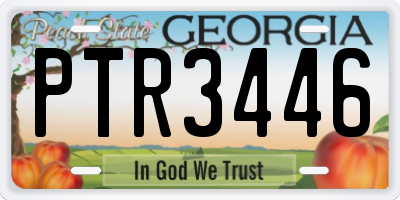 GA license plate PTR3446