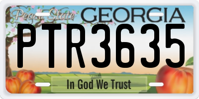 GA license plate PTR3635
