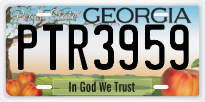 GA license plate PTR3959