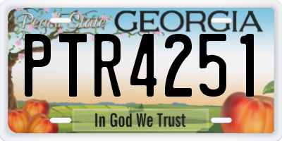 GA license plate PTR4251