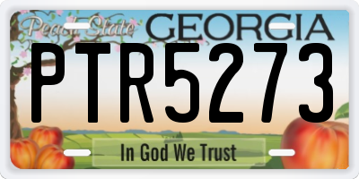 GA license plate PTR5273
