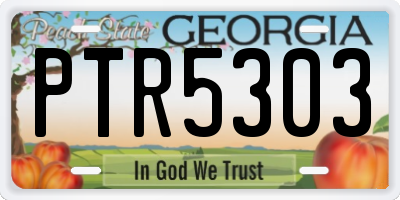 GA license plate PTR5303