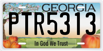 GA license plate PTR5313