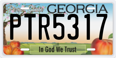 GA license plate PTR5317