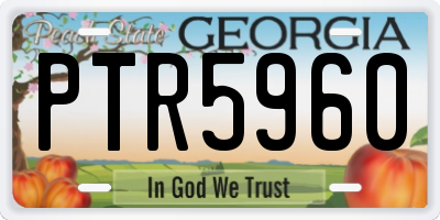 GA license plate PTR5960