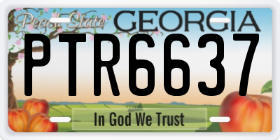 GA license plate PTR6637