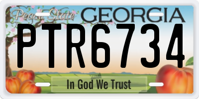GA license plate PTR6734