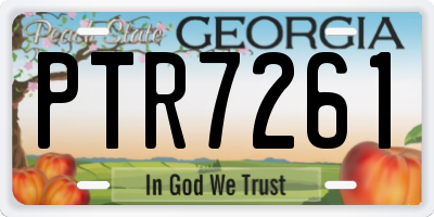 GA license plate PTR7261