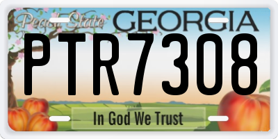 GA license plate PTR7308