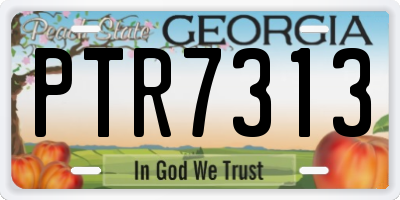 GA license plate PTR7313