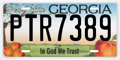 GA license plate PTR7389