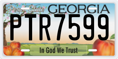 GA license plate PTR7599