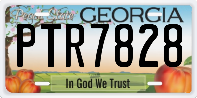 GA license plate PTR7828