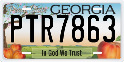 GA license plate PTR7863