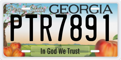 GA license plate PTR7891