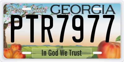 GA license plate PTR7977