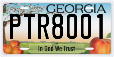 GA license plate PTR8001