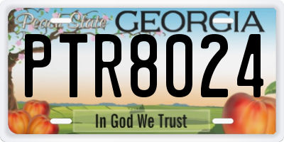 GA license plate PTR8024
