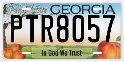 GA license plate PTR8057