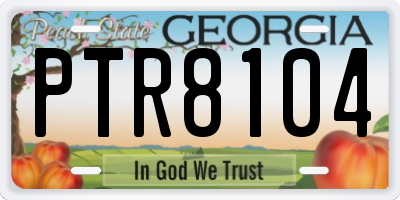 GA license plate PTR8104