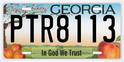 GA license plate PTR8113