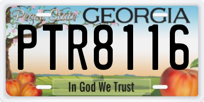 GA license plate PTR8116