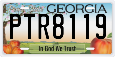 GA license plate PTR8119
