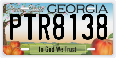 GA license plate PTR8138