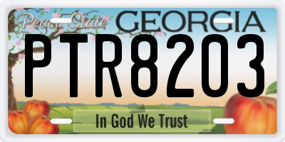 GA license plate PTR8203