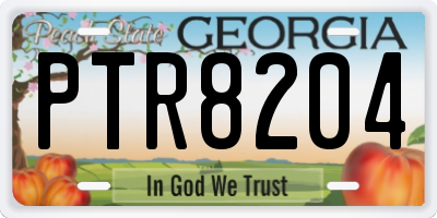 GA license plate PTR8204