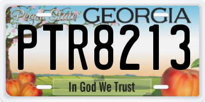 GA license plate PTR8213