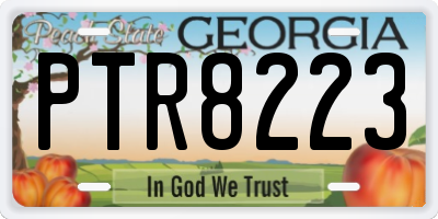 GA license plate PTR8223