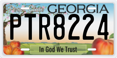 GA license plate PTR8224
