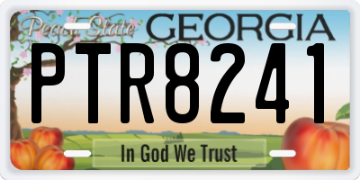 GA license plate PTR8241