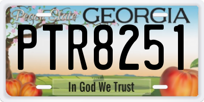 GA license plate PTR8251