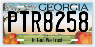 GA license plate PTR8258