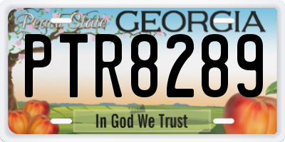 GA license plate PTR8289