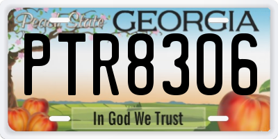GA license plate PTR8306