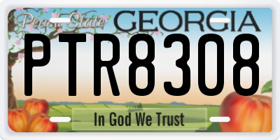 GA license plate PTR8308
