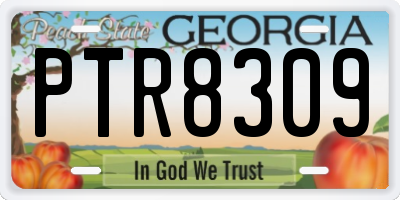 GA license plate PTR8309