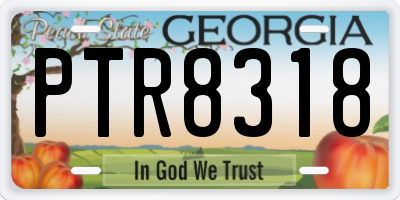 GA license plate PTR8318