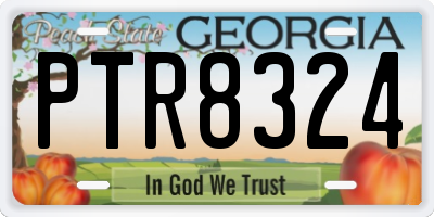 GA license plate PTR8324