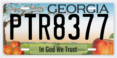 GA license plate PTR8377
