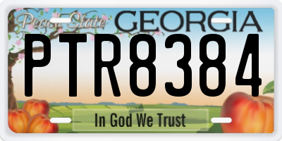 GA license plate PTR8384