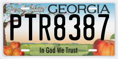 GA license plate PTR8387