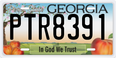 GA license plate PTR8391